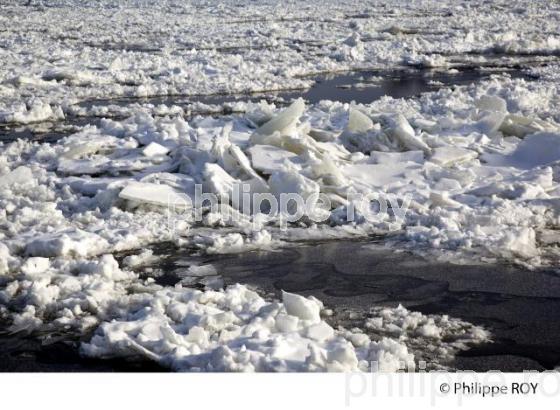 LE FLEUVE SAINT LAURENT EN HIVER (CA002038.jpg)