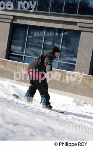 SURF DE NEIGE EN VILLE, ESCALIERS DE QUEBEC (CA002114.jpg)