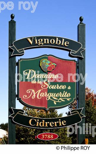 VIGNOBLE , ILE D' ORLEANS, QUEBEC (CA0024006.jpg)
