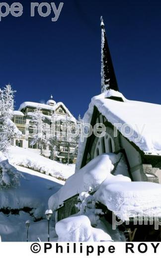 Alpes - Suisse (CH000105.jpg)