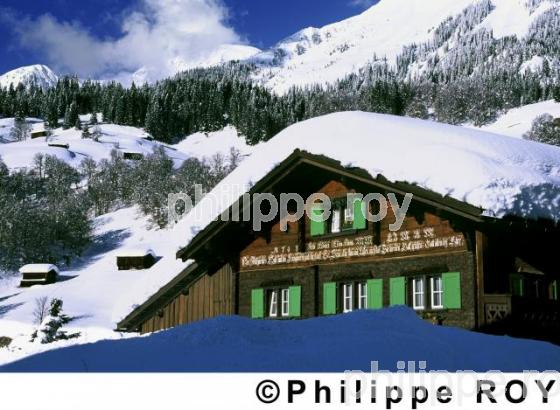 Alpes - Suisse (CH000107.jpg)