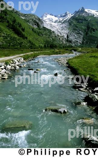 Alpes - Suisse (CH000123.jpg)