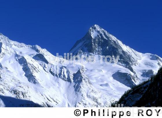 Alpes - Suisse (CH000137.jpg)