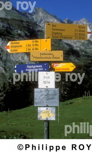 Alpes - Suisse (CH000202.jpg)