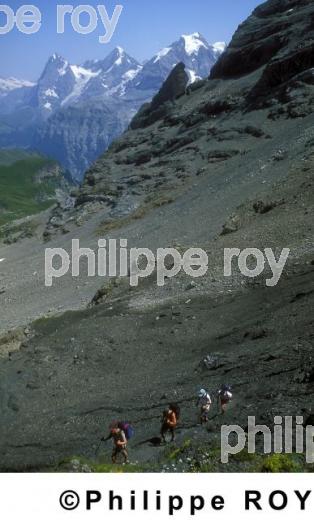 Alpes - Suisse (CH000203.jpg)