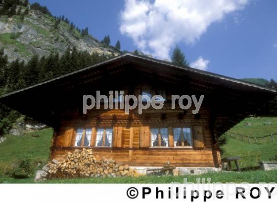 Chalet - Suisse (CH000204.jpg)
