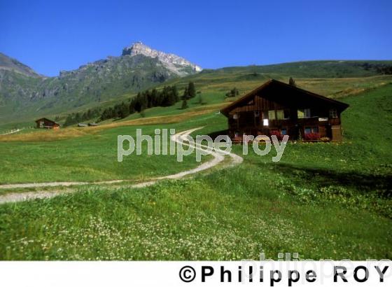 Chalet - Suisse (CH000211.jpg)