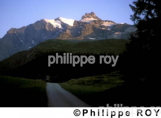 Alpes - Suisse (CH000215.jpg)