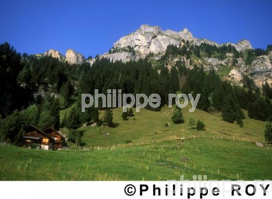 Alpes - Suisse (CH000216.jpg)
