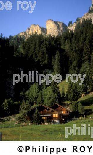 Alpes - Suisse (CH000220.jpg)