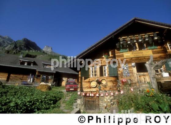 Chalet - Suisse (CH000221.jpg)