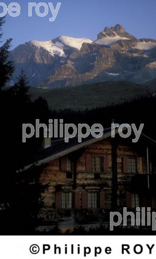 Chalet - Suisse (CH000223.jpg)