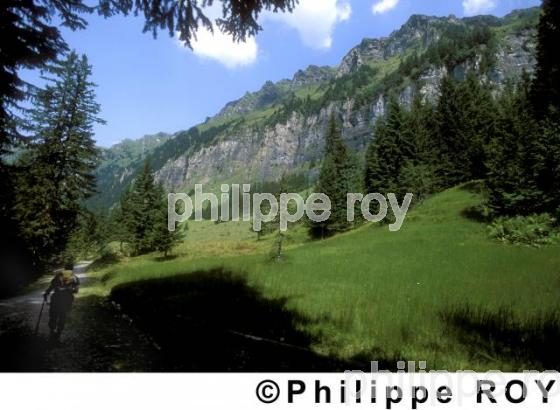 Alpes - Suisse (CH000234.jpg)