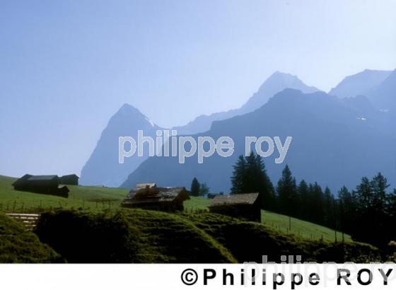 Alpes - Suisse (CH000301.jpg)