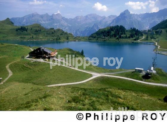 Alpes - Suisse (CH000312.jpg)