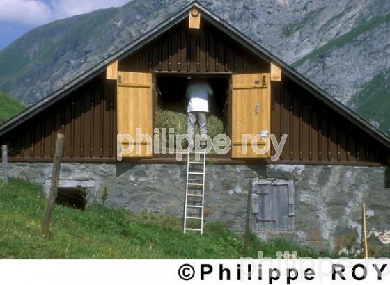 Chalet - Suisse (CH000313.jpg)