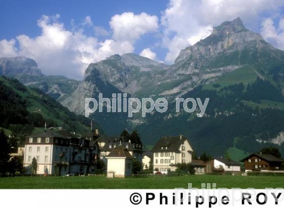 Alpes - Suisse (CH000315.jpg)