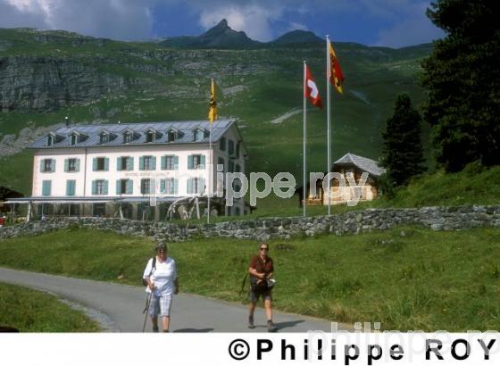Randonne pdestre - Suisse (CH000327.jpg)