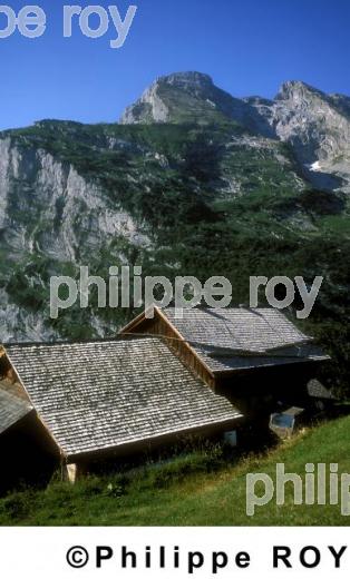 Alpes - Suisse (CH000334.jpg)