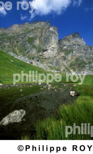 Flore - Suisse (CH000402.jpg)