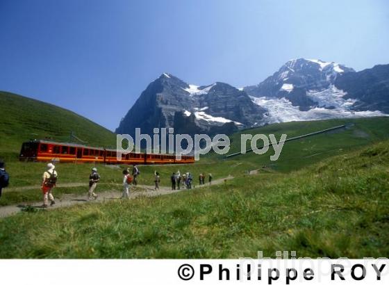 Train - Suisse (CH000416.jpg)