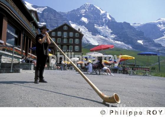 Alphorn - Suisse (CH000417.jpg)