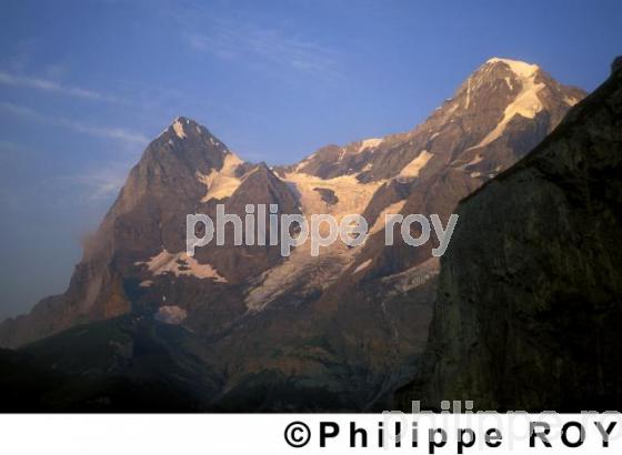 Alpes - Suisse (CH000421.jpg)