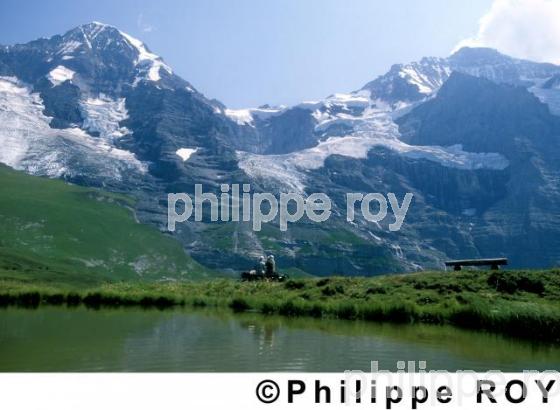 Alpes - Suisse (CH000422.jpg)