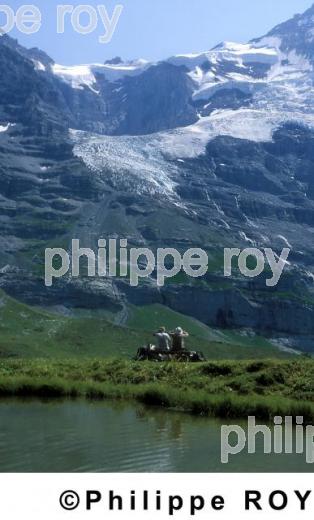 Alpes - Suisse (CH000425.jpg)