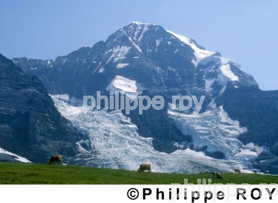 Alpes - Suisse (CH000426.jpg)