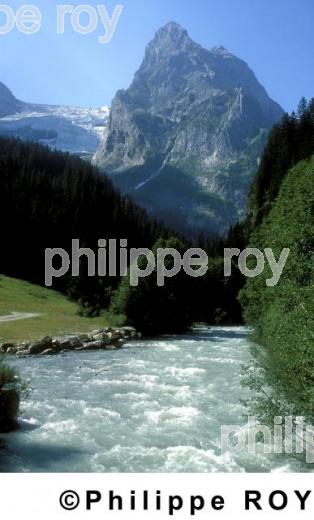Alpes - Suisse (CH000429.jpg)