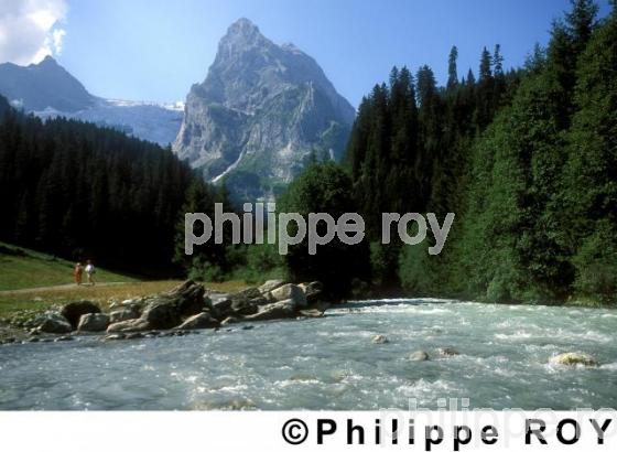 Alpes - Suisse (CH000430.jpg)
