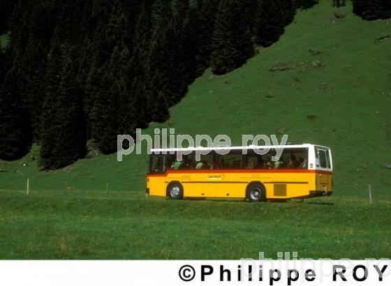 Bus - Suisse (CH000431.jpg)