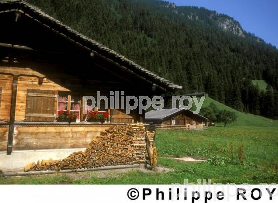 Chalet - Suisse (CH000436.jpg)