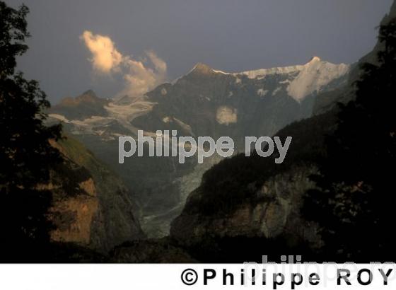 Alpes - Suisse (CH000440.jpg)