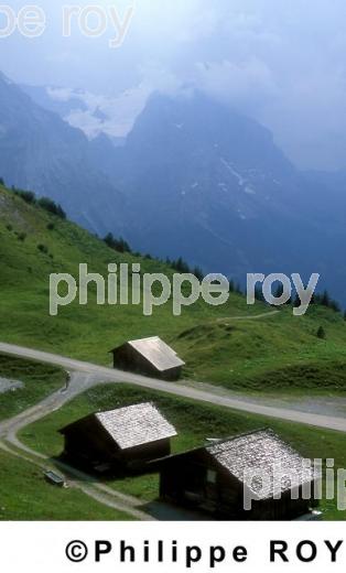 Alpes - Suisse (CH000504.jpg)