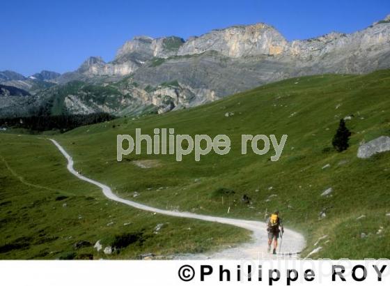 Randonne pdestre - Suisse (CH000517.jpg)