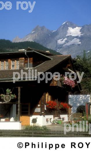 Chalet - Suisse (CH000518.jpg)