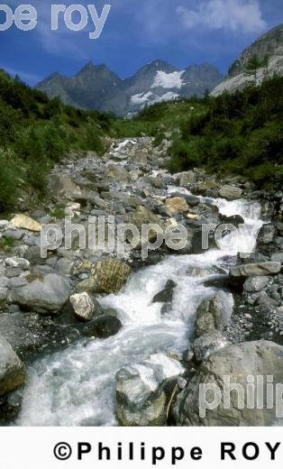 Alpes - Suisse (CH000520.jpg)