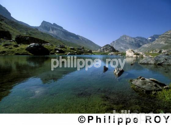 Alpes - Suisse (CH000527.jpg)