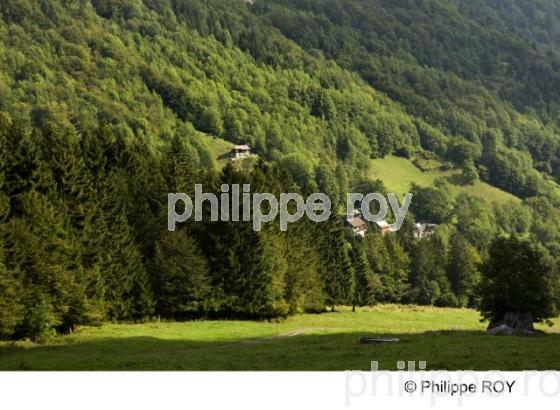 Paysage - Suisse (CH001113.jpg)