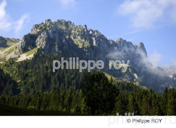Paysage - Suisse (CH001115.jpg)