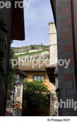 Saint Saphorin - Suisse (CH001214.jpg)