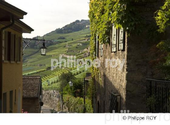 Saint Saphorin - Suisse (CH001220.jpg)