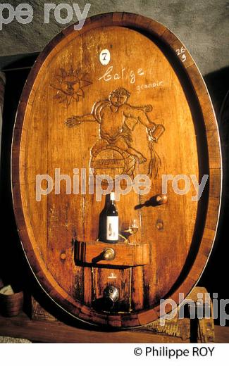 Le vignoble vaudois, Suisse (CH001321.jpg)