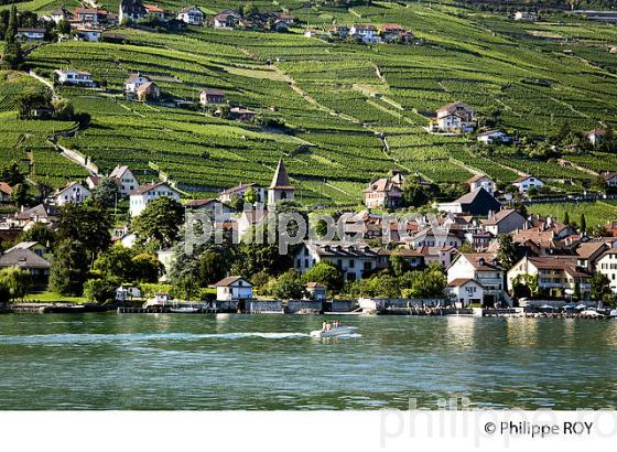 VIGNOBLE DE LAVAUX, LAC LEMAN, SUISSE (CH001338.jpg)