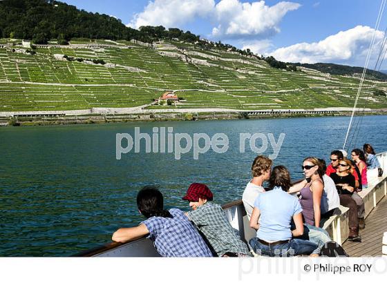 EXCURSION TOURISTIQUE, VIGNOBLE DE LAVAUX, LAC LEMAN, SUISSE (CH001340.jpg)