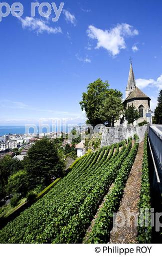 PANORAMA, EGLISE SAINT VINCENT, VIGNOBLE VAUDOIS, MONTREUX, SUISSE (CH001712.jpg)
