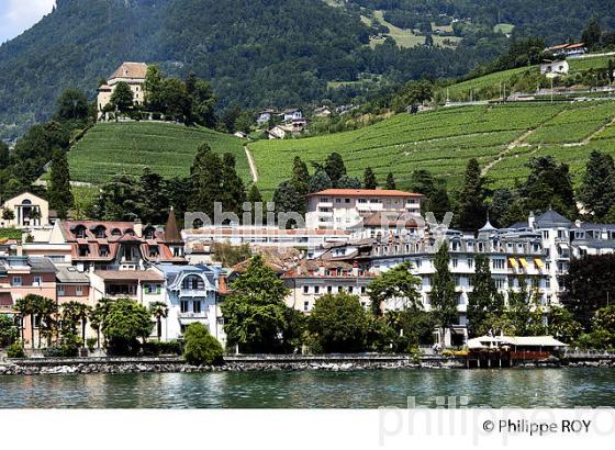 CHATEAU DU CHATELARD, VIGNOBLE LAVAUX, VEVEY, LAC LEMAN, SUISSE (CH001813.jpg)