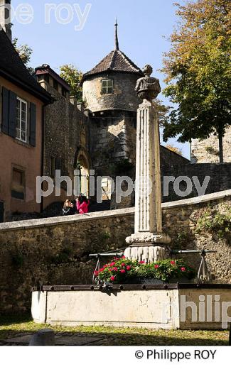 VILLE DE NEUCHATEL, CANTON DE NEUCHATEL, SUISSE (CH002703.jpg)